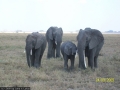 622 familie dickhaut